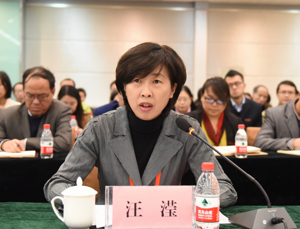 专家组成员汪滢发言