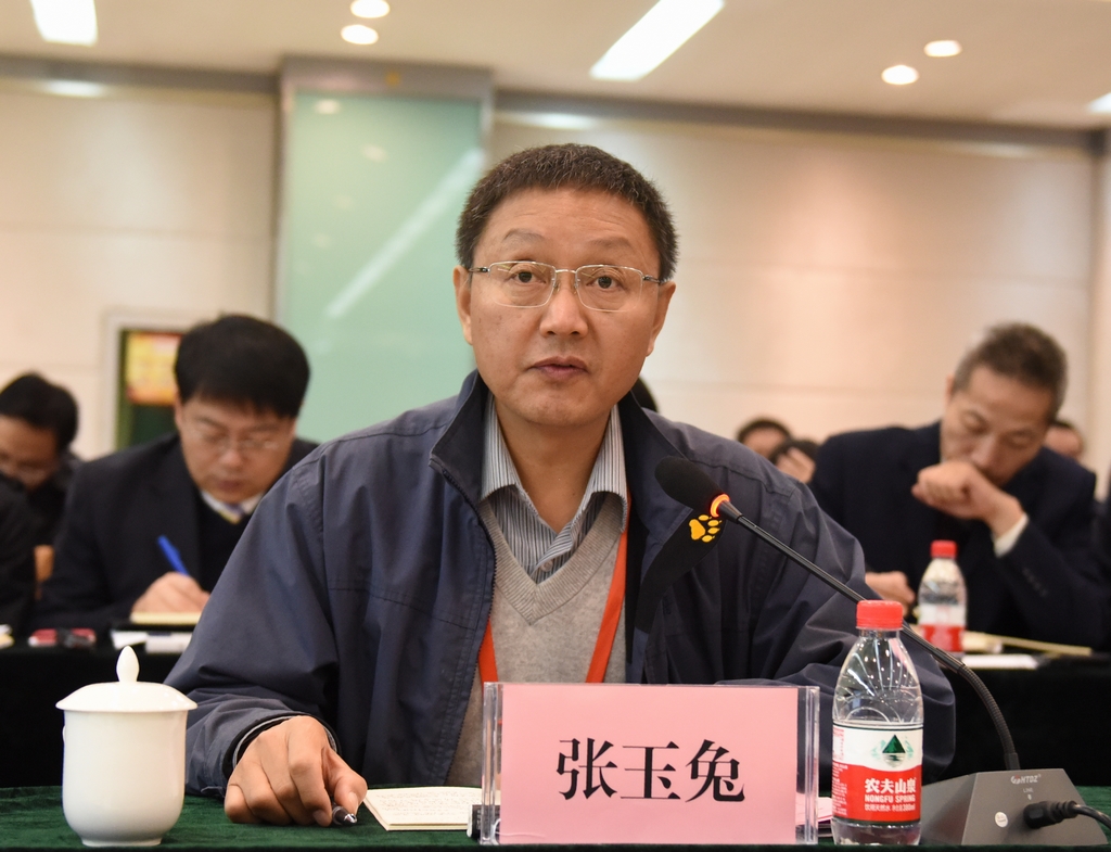 专家组成员张玉兔发言